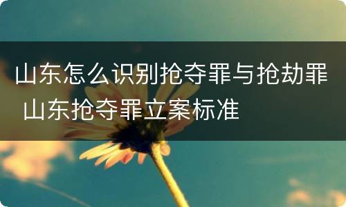 山东怎么识别抢夺罪与抢劫罪 山东抢夺罪立案标准