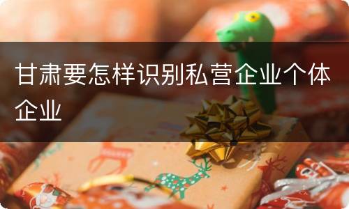 甘肃要怎样识别私营企业个体企业