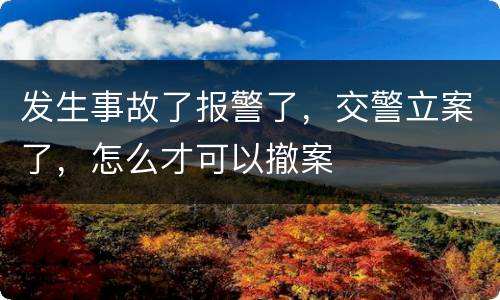 发生事故了报警了，交警立案了，怎么才可以撤案