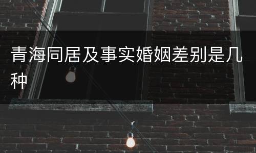 青海同居及事实婚姻差别是几种