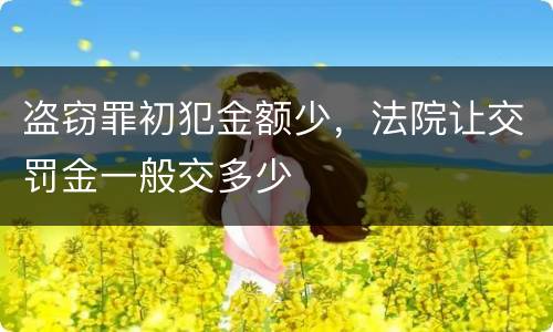 盗窃罪初犯金额少，法院让交罚金一般交多少