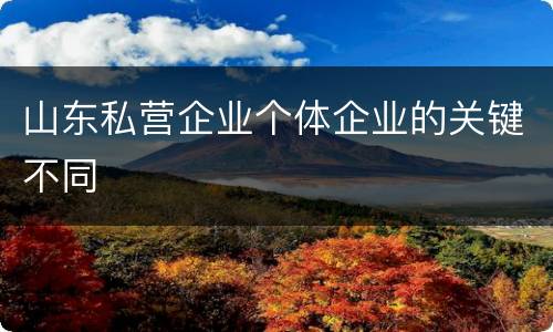 山东私营企业个体企业的关键不同
