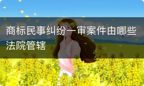 商标民事纠纷一审案件由哪些法院管辖