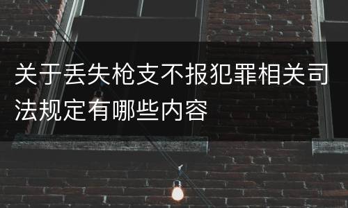 关于丢失枪支不报犯罪相关司法规定有哪些内容