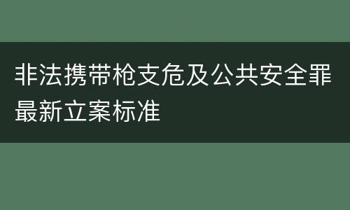 非法携带枪支危及公共安全罪最新立案标准