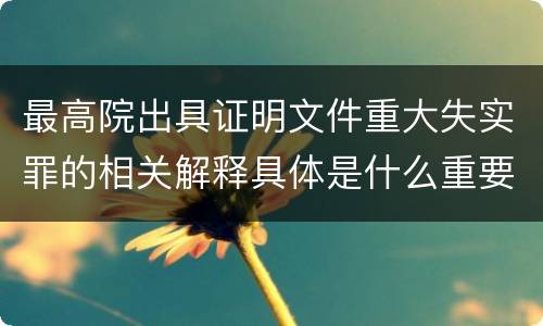最高院出具证明文件重大失实罪的相关解释具体是什么重要内容