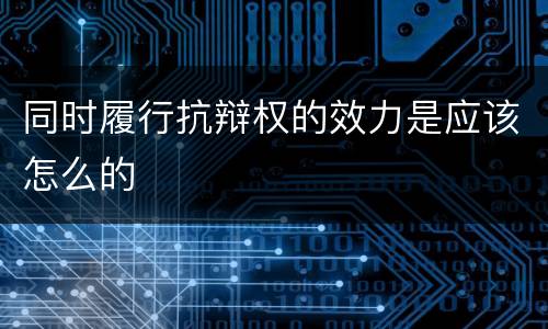 同时履行抗辩权的效力是应该怎么的