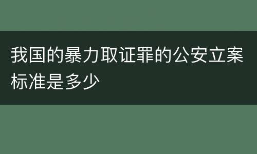 我国的暴力取证罪的公安立案标准是多少