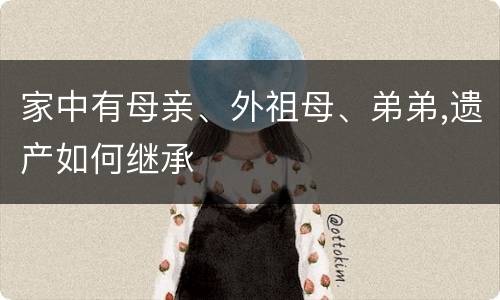 家中有母亲、外祖母、弟弟,遗产如何继承