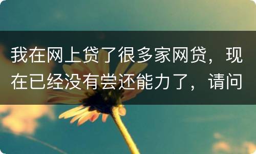 我在网上贷了很多家网贷，现在已经没有尝还能力了，请问我该怎么办，会被坐牢吗