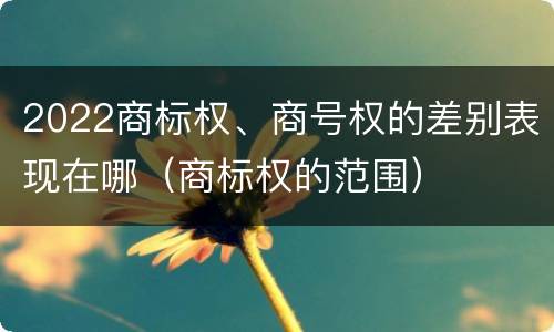 2022商标权、商号权的差别表现在哪（商标权的范围）