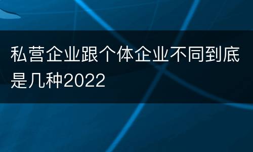 私营企业跟个体企业不同到底是几种2022