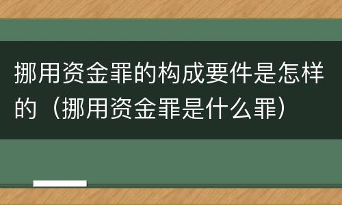 挪用资金罪的构成要件是怎样的（挪用资金罪是什么罪）
