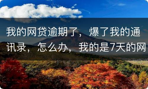 我的网贷逾期了，爆了我的通讯录，怎么办，我的是7天的网贷