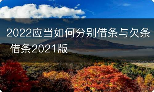 2022应当如何分别借条与欠条 借条2021版