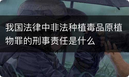 我国法律中非法种植毒品原植物罪的刑事责任是什么
