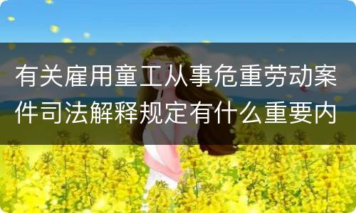 有关雇用童工从事危重劳动案件司法解释规定有什么重要内容