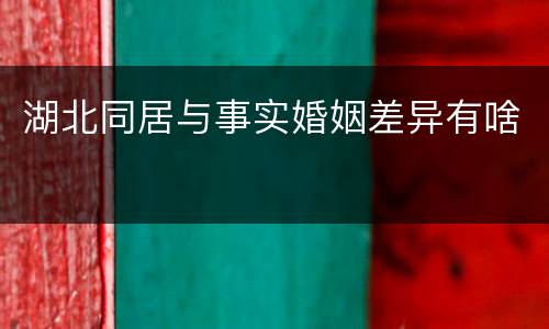 湖北同居与事实婚姻差异有啥