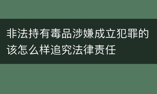 非法持有毒品涉嫌成立犯罪的该怎么样追究法律责任