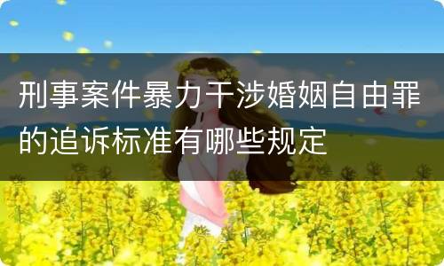 刑事案件暴力干涉婚姻自由罪的追诉标准有哪些规定