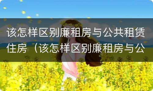 该怎样区别廉租房与公共租赁住房（该怎样区别廉租房与公共租赁住房的区别）