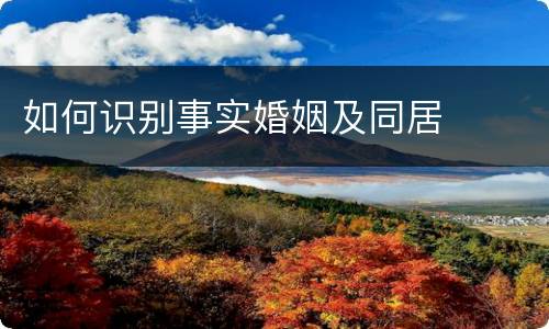 如何识别事实婚姻及同居