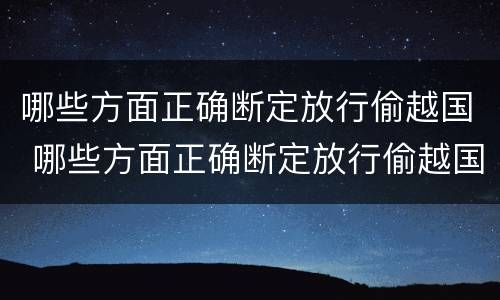哪些方面正确断定放行偷越国 哪些方面正确断定放行偷越国货物