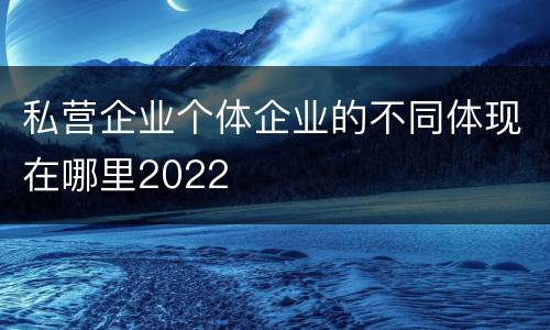私营企业个体企业的不同体现在哪里2022