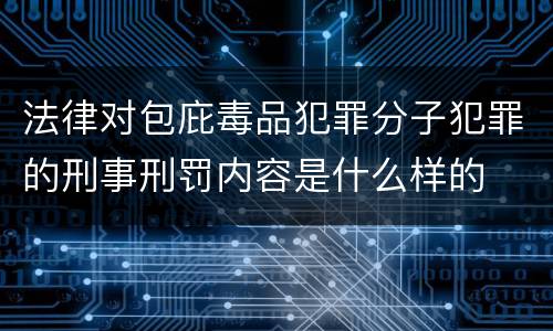 法律对包庇毒品犯罪分子犯罪的刑事刑罚内容是什么样的
