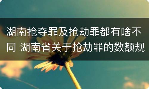 湖南抢夺罪及抢劫罪都有啥不同 湖南省关于抢劫罪的数额规定