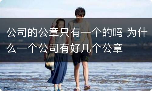 公司的公章只有一个的吗 为什么一个公司有好几个公章