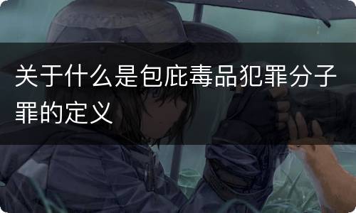 关于什么是包庇毒品犯罪分子罪的定义