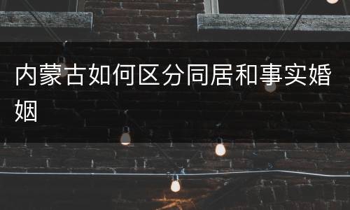 内蒙古如何区分同居和事实婚姻