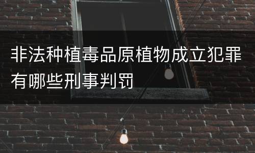 非法种植毒品原植物成立犯罪有哪些刑事判罚