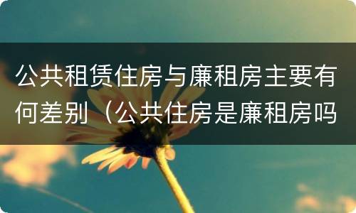 公共租赁住房与廉租房主要有何差别（公共住房是廉租房吗）