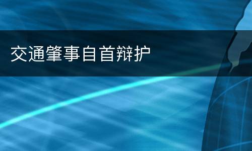 交通肇事自首辩护