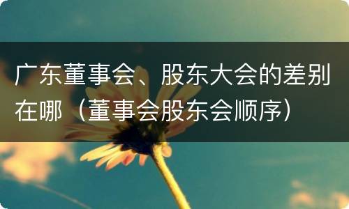 广东董事会、股东大会的差别在哪（董事会股东会顺序）