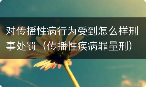 对传播性病行为受到怎么样刑事处罚（传播性疾病罪量刑）