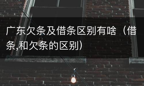 广东欠条及借条区别有啥（借条,和欠条的区别）