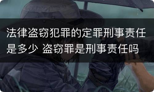 法律盗窃犯罪的定罪刑事责任是多少 盗窃罪是刑事责任吗