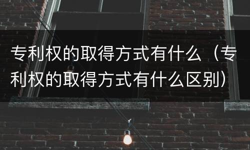 专利权的取得方式有什么（专利权的取得方式有什么区别）