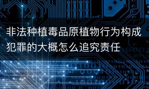 非法种植毒品原植物行为构成犯罪的大概怎么追究责任