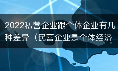 2022私营企业跟个体企业有几种差异（民营企业是个体经济还是私营经济）