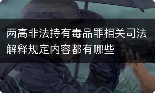 两高非法持有毒品罪相关司法解释规定内容都有哪些