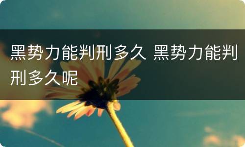 黑势力能判刑多久 黑势力能判刑多久呢