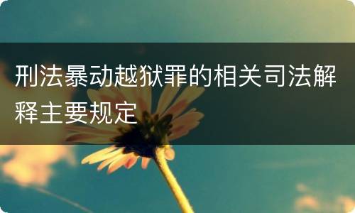 刑法暴动越狱罪的相关司法解释主要规定