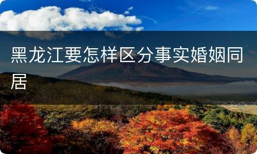 黑龙江要怎样区分事实婚姻同居