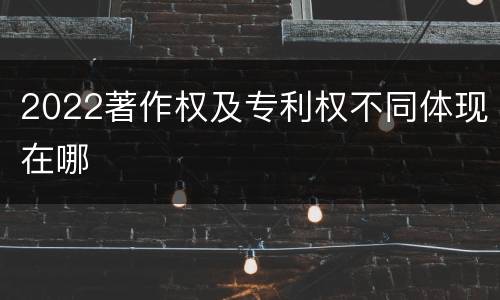 2022著作权及专利权不同体现在哪