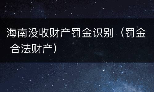 海南没收财产罚金识别（罚金 合法财产）