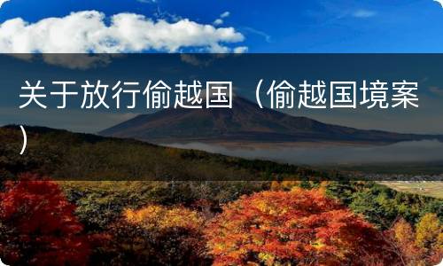 关于放行偷越国（偷越国境案）